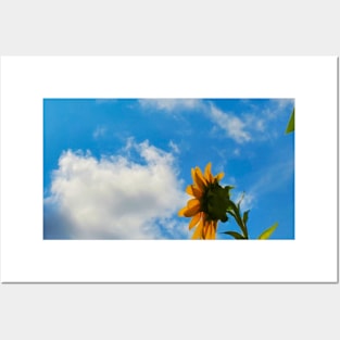 Sunflower in the Sky Posters and Art